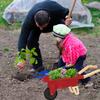 Qtioucp Kids Gardening Tools Outdoor Toys Set Backyard Play with Wheelbarrow Educational STEM Learning Pretend Toys Outdoor Indoor for Toddlers Kids Boys Girls (Red Wheelbarrow Set) view 3