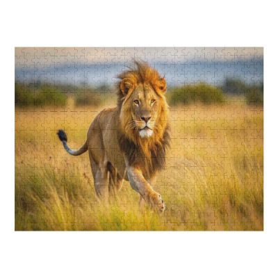 1000 Piece Jigsaw Puzzle Lion On Its Back Walking Through The Grass Brain Teaser for Adults Educational Developmental & Games Building Kit Activities to Encourage Creative Play Christmas