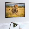 1000 Piece Jigsaw Puzzle Lion On Its Back Walking Through The Grass Brain Teaser for Adults Educational Developmental & Games Building Kit Activities to Encourage Creative Play Christmas view 3