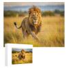 1000 Piece Jigsaw Puzzle Lion On Its Back Walking Through The Grass Brain Teaser for Adults Educational Developmental & Games Building Kit Activities to Encourage Creative Play Christmas view 4