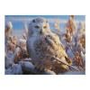 1000 Piece Puzzle for Adults Eagle Owl Perching On Snowy Jigsaw Puzzles 1000 Pieces Challenging Family Activity Great Gift Idea for Family Friends Difficult Puzzles view 1