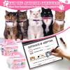 63 Pcs Adopt a Cat Party Favors Include 20 Foldable Kitten Boxes 20 Mini Stuffed Cats 20 Card 1 Sign 2 Fence for Adopt a Kitty Party Favors Cat Supplies Gifts view 4