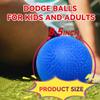 FATEUAER 8.5 Inch Kickball Set, Dodgeballs 2 Pack, Playground Balls Gift for Kids & Adults, Bouncy Balls Includes Pump and Storage Bag, Handball for Outdoor & Indoor Games, Official Size for Schools view 3
