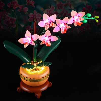 BOOZUU Light Kit for 10343 Mini Orchid - Lighting Compatible with Mini Orchid 10343 Building Set for Adults (Lights Only, No Model Set)