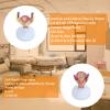 1st-7th Month Pregnancy Model Kit  Life-Size Embryo Set with Twin Option, 7 Stages Medical Education Uterus Display view 4