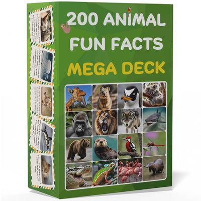 200 Animal Fun Fact Cards  Fascinating, Educational Flash Cards for Kids | Lunchbox Notes, Homeschool, Classroom Activities, Travel + Bonus Printable 60 Space Fun Facts | Back to School & Gift Idea