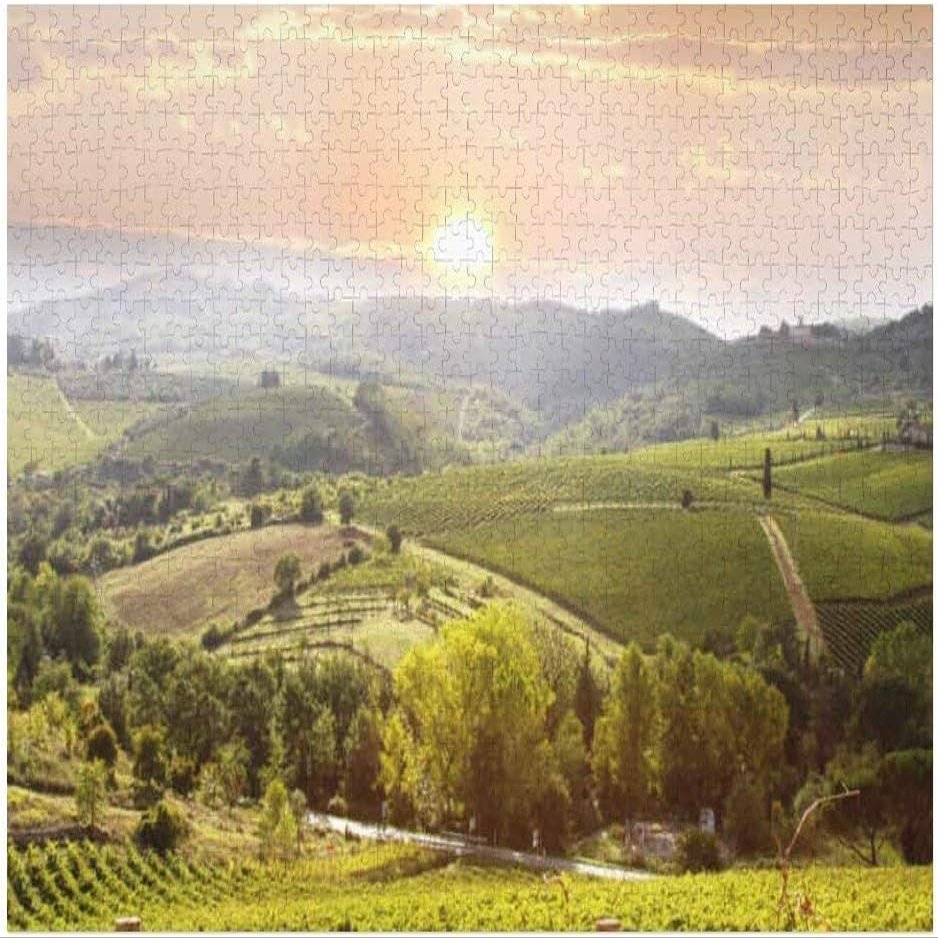 1000 Piece Decorative Wooden Puzzles Chianti Vineyard Landscape Tuscany Italy Jigsaw Puzzles for Family Wall Decoration Birthday Gift