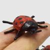 Abaodam 24pcs Realistic Ladybug Models Simulation for Pranks Birthday Parties Halloween Decorations and Miniature Crafts view 4