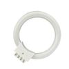 Microscope Kit Microscope Illuminators 8W/10W Fluorescent Ring Lamp Tube Inner Diameter 67.5 mm 70 mm 78 mm Microscope Top Ring Light Source Inner Core Microscope Lens Adapters(Diameter 70 mm) view 1