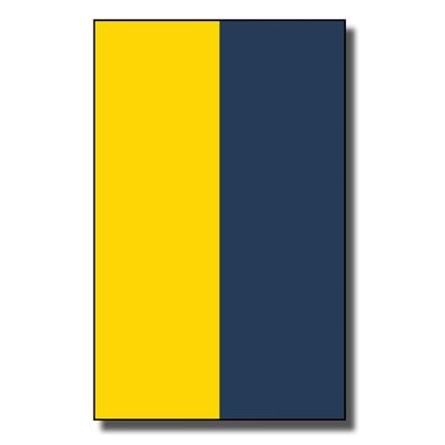 iLuane Display Wallboard for Racing Car, Adult Collectibles Wall Mount, Home or Office Dcor, Two-Tone (No Car Included)