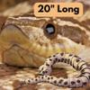 3D Printed Snake - Western Hognose Snake - Articulating 3D Printed Snake Gift - 20" Long view 2