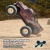 FMS 1/10 Ford F-100 RC Monster Truck, RC Crawler RTR 2WD Off-Road Truck with Wheelie Bar, High-Torque Motor, Hobby Grade Remote Control Car for Adults, High Roller view 3