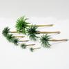 12 Pcs Miniature Tropical Trees Small Decorative Palm Trees Plastic Tree Cake Toppers Mini Model Palm Trees Small Palm Tree Figurines Figures Miniature Coconut Model Trees Faux Realistic Palm Trees view 3