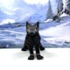 3D Printed Wolf, Articulated Wild Animal Wolf Fidget Toy, 1pc Dual Color Wolf Toy, Fidget ADHD AutismToy, Stress Relief, Executive Desk Toy IHWW001 (Black) view 1
