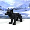 3D Printed Wolf, Articulated Wild Animal Wolf Fidget Toy, 1pc Dual Color Wolf Toy, Fidget ADHD AutismToy, Stress Relief, Executive Desk Toy IHWW001 (Black) view 4