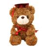 Alipis Graduation Bear Plush Toy Cap and Sash Cute Stuffed Animal for Graduation Season for Deep Bear view 1