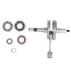 Multizenic Crankshaft Set Kit for MS440 044, Includes Crankshaft, Oil Seal, and Needle Roller Bearing, Rustproof Alloy Steel Material, Easy Installation, Stable Clamping for Efficient Work view 2