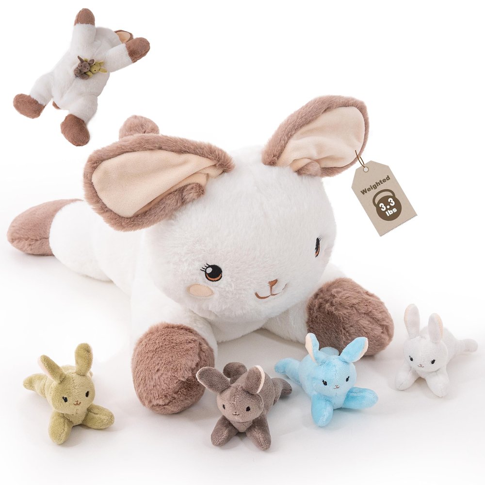 AmyToo Bunny Stuffed Animals, Mommy Bunny Plush with Baby, 5 Pcs Plush Toy for Girl Boy, Birthday Valentine's Gifts for Girlfriend, Kids, Toddler, Age 3-8, White