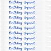 10Pcs Birthday Squad Sash Blue Glitter White Satin Sashes Funny Birthday Sashes Birthday Party Supplies Gifts view 1