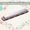 24 Holes Tremolo Harmonica, Stainless Steel Harmonica Instrument with Storage Box for Beginner view 2