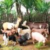 15pcs Farm Animal Toys for 3 4 5 6 7 Years Old Toddlers Girls Boys, Plastic Toy Farm Animal Figurines Playset with Cow Horse Dog Cat and etc, Educational Learning Toys & Birthday Easter Gifts view 4