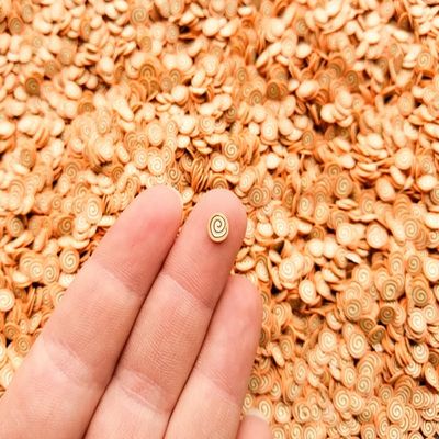 Small Cinnamon Bun Polymer Clay Slices, Miniature Fake Sprinkles for Nail Art, Crafts and Resin Embellishments - Non Edible (15 gram bag)
