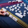 4PCS Rainbow Mahjong Rack and Pusher Combo, Adults 36+ Unisex, 4 Count, Multicolor, Plastic, No Assembly Required (Rainbow Colors) view 2