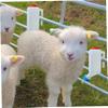 2PCS Baby Bottles, 800ml Lamb & Goat Milk Feeder Bottle with Handle for Calf & Sheep Nursing view 2