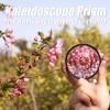 ACAGALA 77mm Kaleidoscope Prism Camera Glass Filter Variable Number of Subjects SLR Photography Accessories view 2