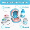 Dentist Play Set for Toddlers 3-5 - Doctor Kit Toy Gifts for 3 4 Year Old Girls, Pretend Play Montessori Toys Teeth and Dental Playset Medical Kits for Boys Kids 2-4 5 6 7 8 view 2