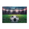 1000 Piece Puzzles for Adults, Soccer Stadium Football Sports Bright Wood Jigsaw Puzzles, Funny Challenging Puzzles, Great Gift for Family Friends view 1