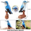 AENIMELY Blue Hummingbird Animal Figurines Mini Bird Animal Figures Toy for Kids Educational Wildlife Flying Bird Model Home Decoration view 3