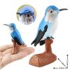 AENIMELY Blue Hummingbird Animal Figurines Mini Bird Animal Figures Toy for Kids Educational Wildlife Flying Bird Model Home Decoration view 4