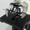 40X-1600X Monocular Biological Microscope for Kids & Students, LED Lamp, Rotatable Head, Coarse & Fine Focus, Economic Science Microscope for Beginners (X-S-P100D) view 4