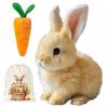 Celosmo Bunny - My Realistic Bunny Toy Bunby Realistic Bunny Jumping Shaking Ears Easter Gift Bunny Pal with Candy Bag (1pc-Brown) view 1