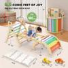 BlueWood Pikler Triangle Set with Cushion - Climbing Toys for Toddlers 9-in-1, Montessori Philosophy Play Jungle Gym with Arch, Ramp, Ladder (Rainbow) view 2