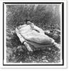 Historic Framed Print, Sleeping bag used in camping trip Oct 1888: formerly upon the Greeley expedition, 17-7/8" x 21-7/8" view 2