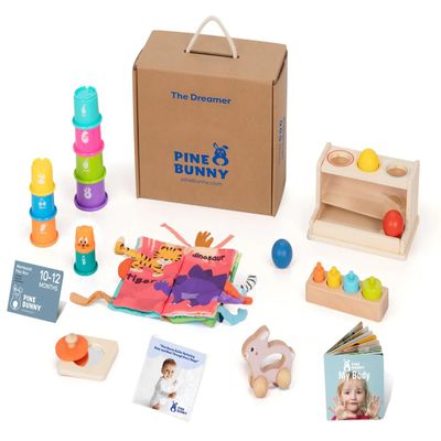 Pine Bunny Montessori Wooden 11-in-1 Toy Set for 10+ Months, Cylinder Block, Push Ball Box, Mirror Puzzle, Stacking Cups Rabbit Rattle Soft Book Educational Learning Color Recognition Fine Motor Toys