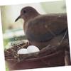 BUGUUYO 30pcs Induced Fake Pigeon Eggs for Hatching Simulation Water Injection Eggs for Protecting Compact view 4