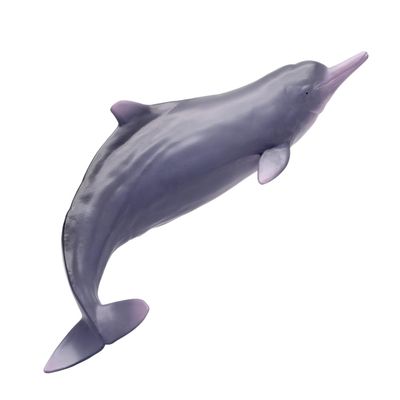 PNSO Living Animal:17 Xibao The Chinese White Dolphin