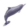PNSO Living Animal:17 Xibao The Chinese White Dolphin view 1