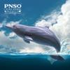PNSO Living Animal:17 Xibao The Chinese White Dolphin view 2