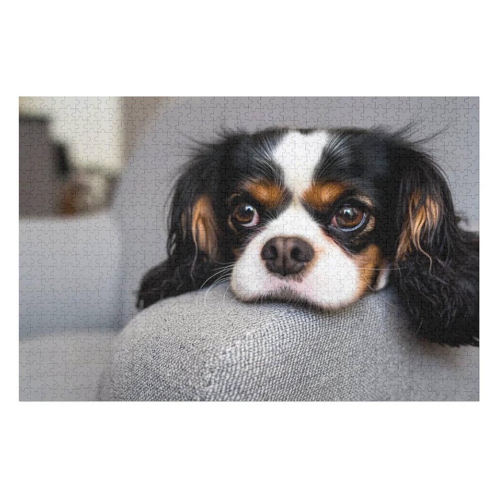 Animal Theme Puzzle - Cavalier King Charles Spaniel Dog - 1000 Piece Jigsaw Puzzle for Adults - Animal Pet Lover Challenging Puzzles for Friends Family Activity Game Nights Gifts
