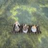 Legion Terrain - Forest Village Walkway - Miniature Tabletop Wargaming Terrain (Painted) view 3