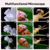 ,100x 500x Zoom, Portable Handheld Microscope, 8 LED Lights, 2 Inch Screen, HD Photo Video Recording, XP, 7, 8, 10, 11, OS X 11.0 and (Pin) view 4