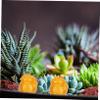 BESPORTBLE 10pcs Micro Landscape Decorations Resin Yuanbao Money Tree Miniature Decorations DIY Home Office Decorative Adornments view 4