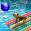 18 Pack Pool Noodles Bulk 39 x 2.24 inches Foam Pool Swimming Noodle Large Hollow Bright Foam Swim Noodles Floats Heavy Duty for Adults Floating Swimming Craft Project(Colorful) view 4