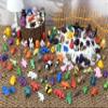 80pcs Mini Animal Figurines Set,3D Printed Little Animals Articulated Flexible Fidget Toy,Mini Animal Figurines Toy,Cute Animal Toys for Home, Office, Decor(Animals Shipped Randomly) view 4