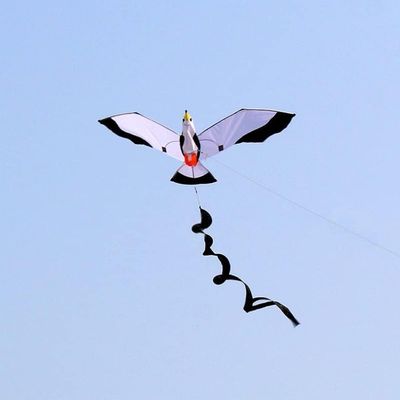 1.4M Bird kite Seagull Flying kite