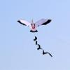 1.4M Bird kite Seagull Flying kite view 1